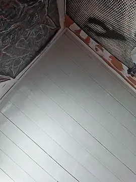 Toycockhot online show from March 2025 06:05:02 PM