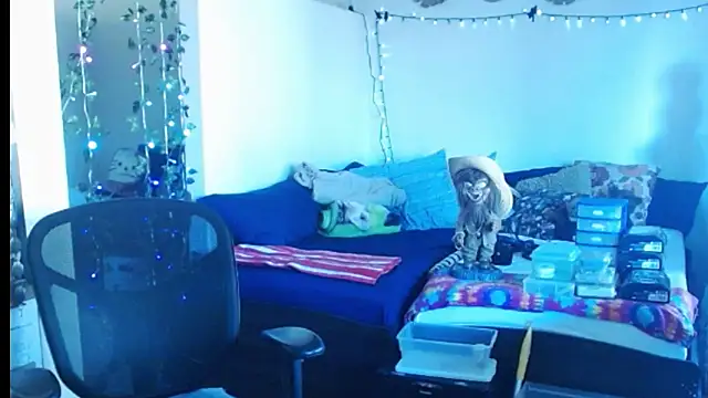 Snapshot of mycock2474u chatting on February 2025 03:38:01 PM mycock2474u online show from February 2025 03:38:01 PM