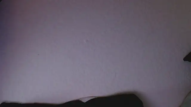 florida0217 online show from March 2025 09:48:02 PM