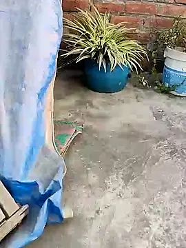 Snapshot of indianSmartboy chatting on December 2024 11:11:02 AM indianSmartboy online show from December 2024 11:11:02 AM