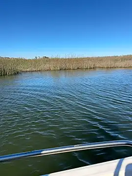 Goonwithoutclinching online show from January 2026 09:16:01 PM