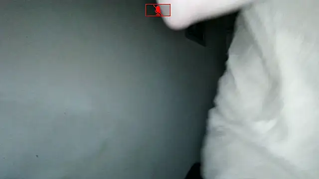 Snapshot of Ethangay chatting on November 2025 06:27:01 AM Ethangay online show from November 2025 06:27:01 AM