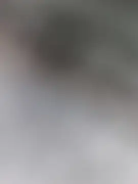 Leo Big online show from January 2025 12:38:01 PM