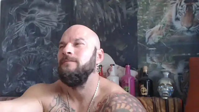 viking 30 online show from October 2025 06:54:01 AM