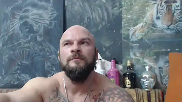 viking 30 online show from October 2025 06:59:01 PM