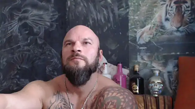 viking 30 online show from November 2025 07:51:01 AM