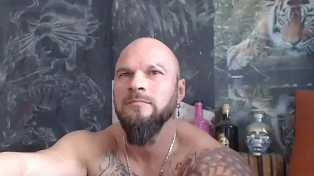 viking 30 online show from November 2025 08:15:02 AM