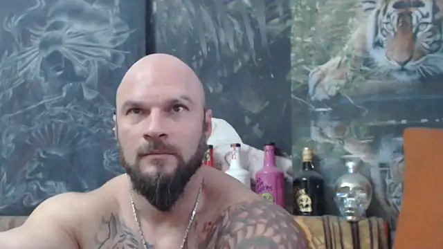 viking 30 online show from November 2025 07:30:01 AM