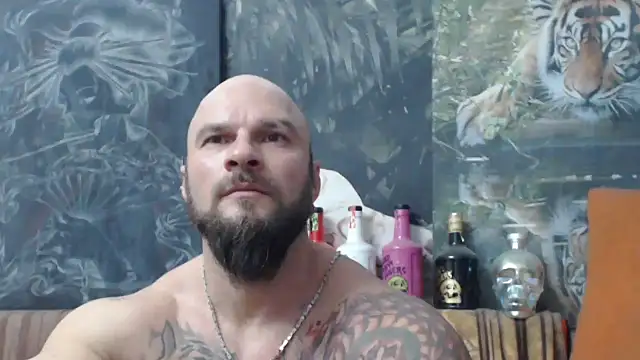 viking 30 online show from November 2025 07:46:02 PM