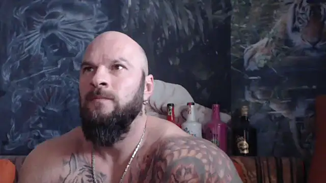 viking 30 online show from November 2025 10:52:02 AM