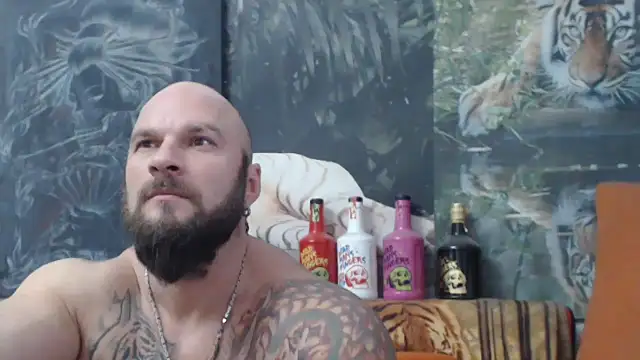 viking 30 online show from December 2025 01:49:01 PM