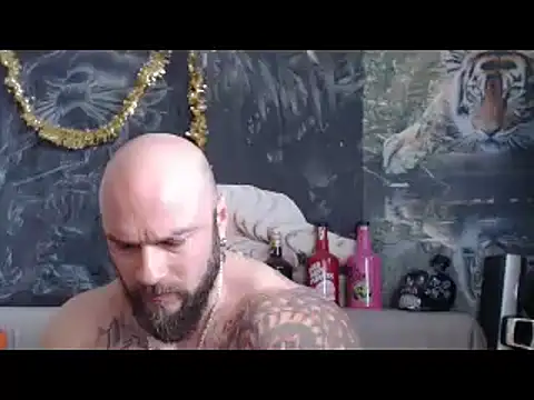 viking 30 online show from March 2026 07:36:02 AM