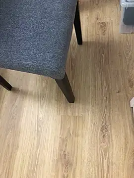 Mindnorthcam2 online show from December 2024 05:37:01 PM