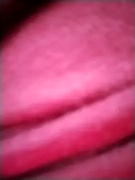 Snapshot of EvaCristal chatting on November 2025 09:12:02 AM EvaCristal online show from November 2025 09:12:02 AM