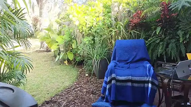 eliberator1777 online show from December 2024 03:44:01 PM