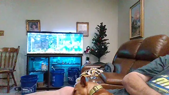 1964peterbilt1 online show from December 2024 01:48:01 AM