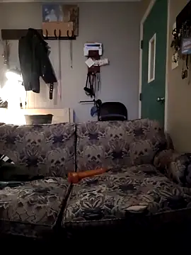 Snapshot of ZeTurtleMaster chatting on December 2024 12:14:02 AM ZeTurtleMaster online show from December 2024 12:14:02 AM