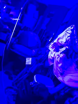 justinewe69 online show from September 2025 03:31:01 AM