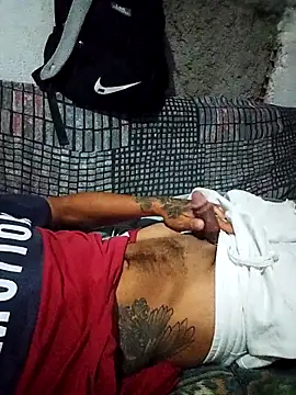 atribo1 online show from March 2026 02:41:01 AM