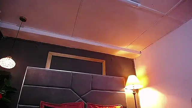 teddyfit19cm online show from April 2026 01:16:01 PM