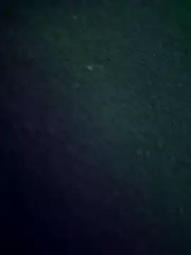 K100x online show from November 2025 02:48:02 AM