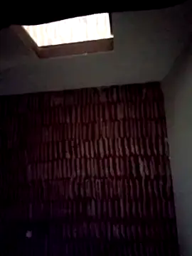 Snapshot of catdool chatting on January 2025 08:18:02 AM catdool online show from January 2025 08:18:02 AM