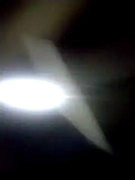 catdool online show from January 2026 12:13:02 AM