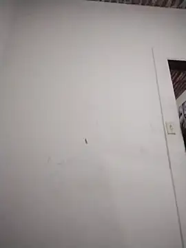 catdool online show from February 2026 10:35:01 PM