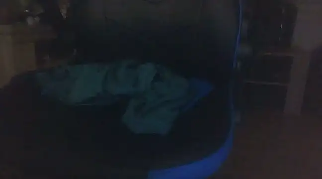 Snapshot of ViaPanties4you chatting on February 2025 11:30:02 PM ViaPanties4you online show from February 2025 11:30:02 PM