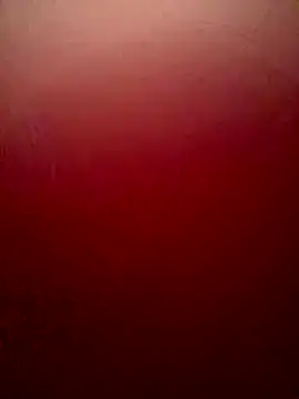 Snapshot of sweetAli_ chatting on October 2025 11:25:01 PM sweetAli online show from October 2025 11:25:01 PM