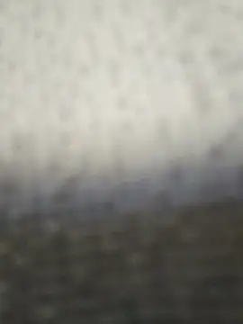 fit ass 2021 online show from July 2026 03:04:01 PM