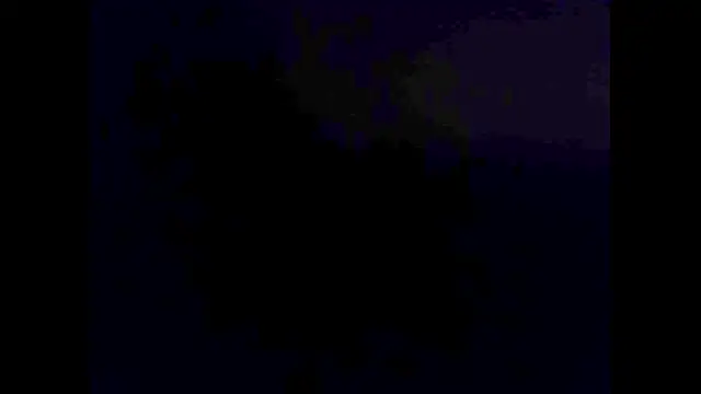 Snapshot of hairyuncut00 chatting on November 2025 06:10:01 PM hairyuncut00 online show from November 2025 06:10:01 PM