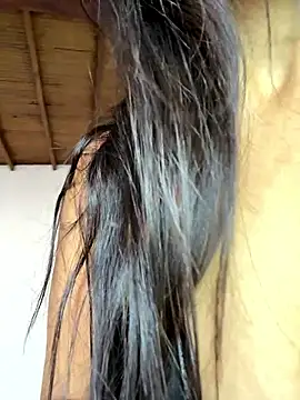 pleasureMyAss- online show from January 2026 05:27:02 PM