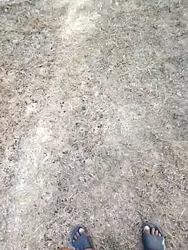 rameshmry1 online show from February 2026 12:16:01 PM