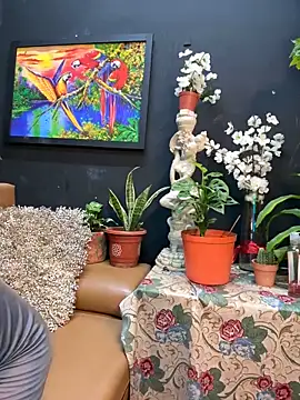 uma patna000 online show from December 2024 08:26:01 AM