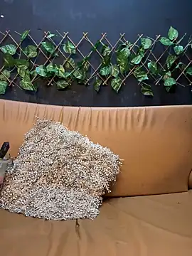 uma patna000 online show from January 2025 09:51:01 PM