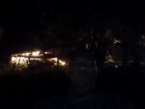 condor08750 online show from November 2025 02:10:01 AM