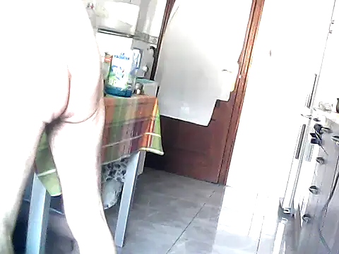 bixesualactivo online show from April 2026 04:54:02 PM