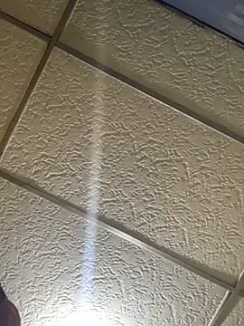 Snapshot of Jorge12sjjsjs chatting on March 2026 12:11:02 PM Jorge12sjjsjs online show from March 2026 12:11:02 PM