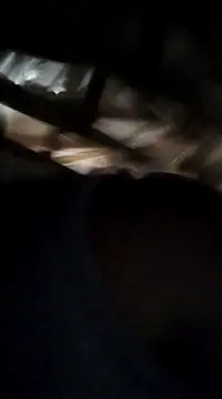 Snapshot of General62 chatting on December 2024 09:17:01 PM General62 online show from December 2024 09:17:01 PM