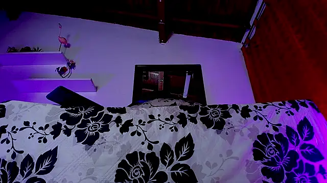 sofi decker online show from February 2025 03:04:01 AM