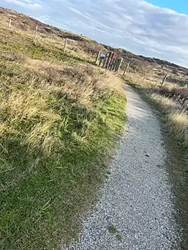 Mark3706 online show from December 2024 11:55:01 AM