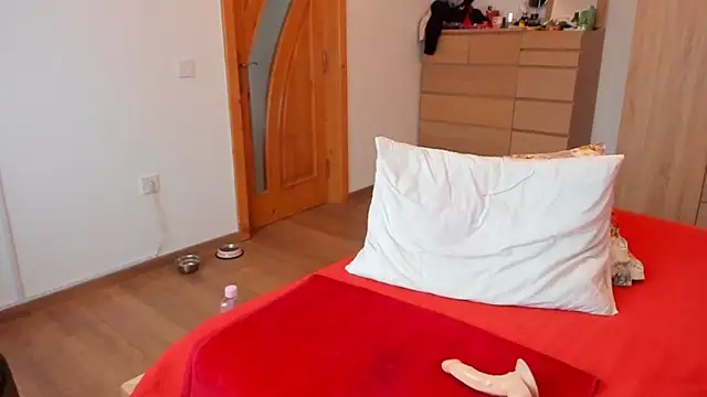 wildalissa online show from February 2025 06:59:01 PM