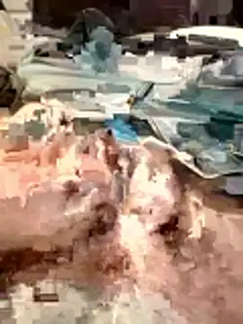 420pussylickr online show from February 2026 01:25:01 PM