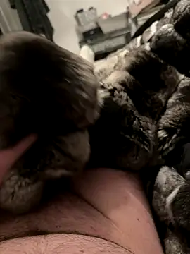 Furdale online show from December 2025 07:00:01 PM