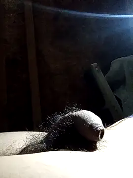 rodovlaz online show from November 2025 03:40:02 AM