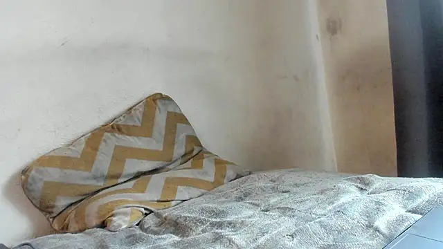 texpig online show from March 2026 04:04:01 PM