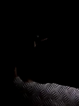 rajlocal online show from January 2025 12:57:02 PM