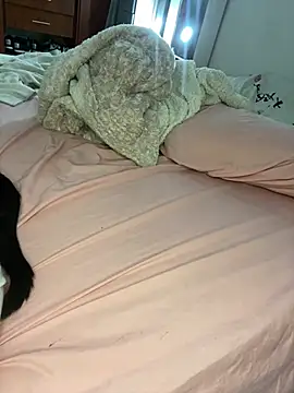 Laura takint online show from January 2025 05:33:01 PM