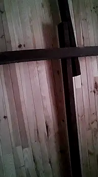 davigochi77bcn online show from March 2025 11:20:01 PM